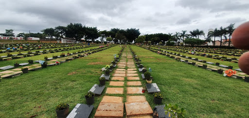 Cemitério Jardim Parque Das Palmeiras