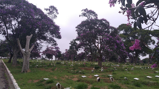 Cemitério Lajeado
