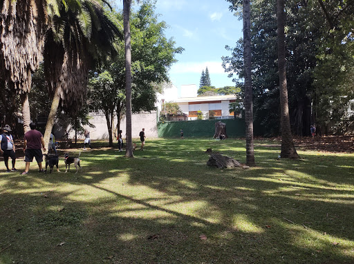 Parque dos Cachorros