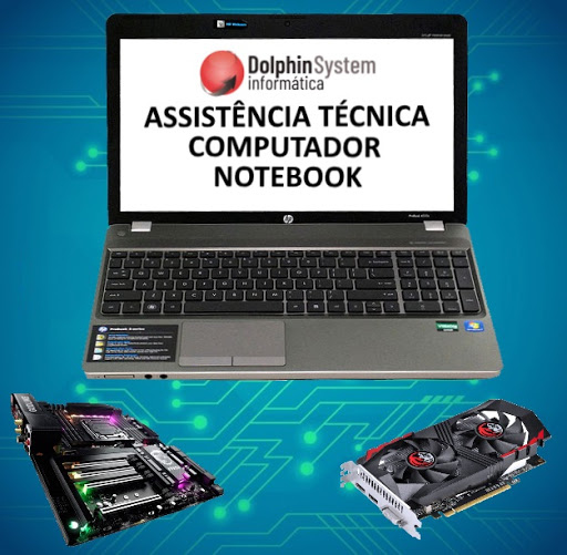 Dolphin System Informática