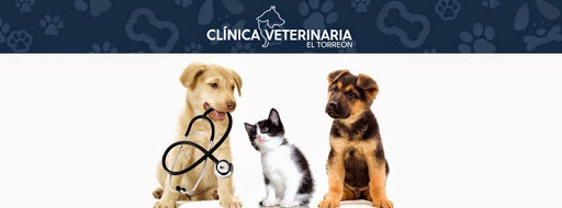 Clínica Veterinaria El Torreón