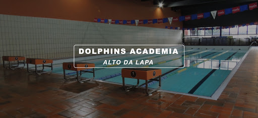 Dolphins Academia