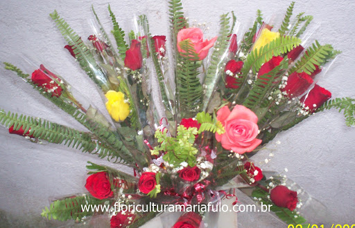 Floricultura Maria Fulô Ltda