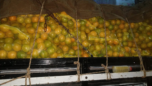 Distribuidor Bananas Maciel Fornecedor de Bananas no Atacado para Supermercados Sacolões Hortifrutis