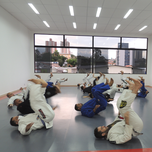 3P - Escola Flavio Behring de Jiu-Jitsu