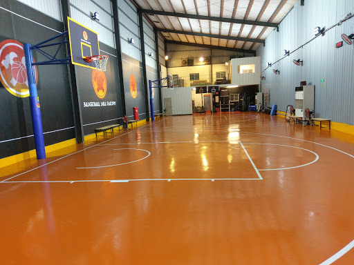 籃球技能工廠
