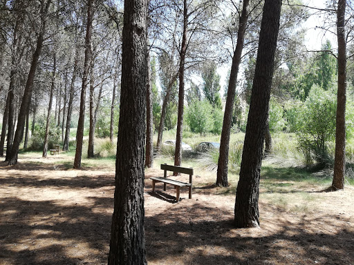 Parque Forestal Dehesa de Santorcaz