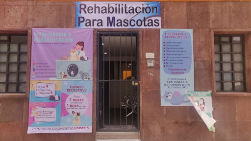 RPMcenter Rehabilitación para mascotas