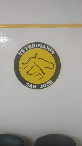Servicio Veterinario aeropuerto San Jose
