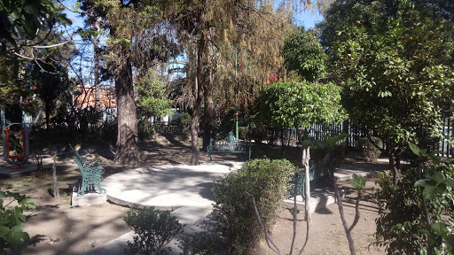 Jardín Curiel