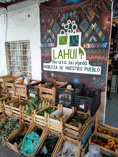 Lahui y Gaxi Agroecologicos