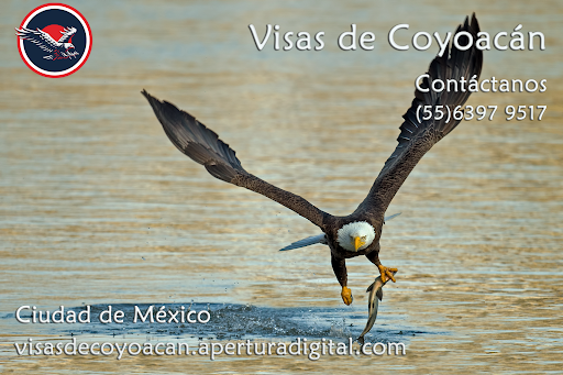 Visas de Coyoacán - Asesor en trámite de Visas Americanas