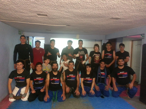 Academia Mexicana De Artes Marciales (Kainos Artes Marciales Mixtas) MMA