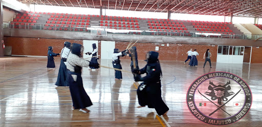 Federación Mexicana de Kobudo y Kendo - Escuela de Artes Marciales en Mexico