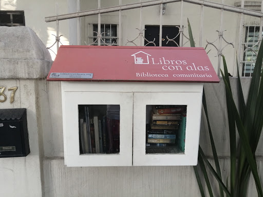 Little Free library - Libros con Alas