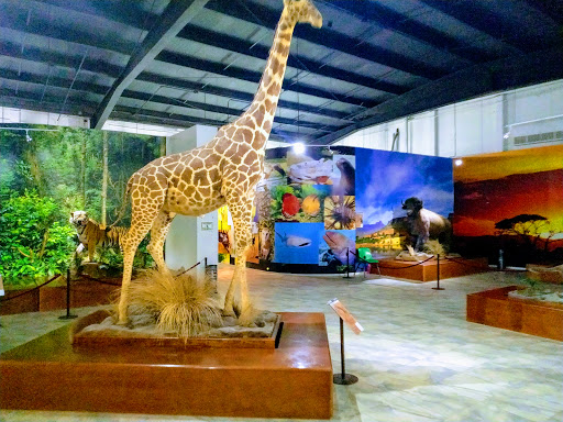 Museo de Historia Natural de Ecatepec