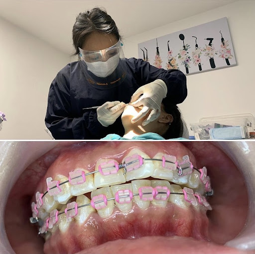Dra. Ariana- Consultorio dental