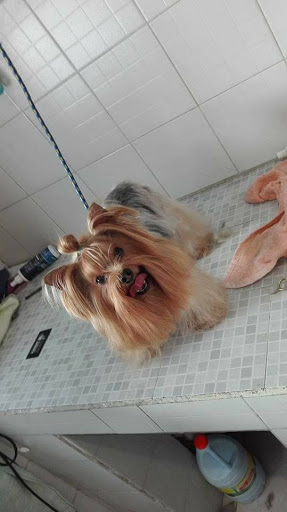Estética canina y Tienda de mascotas dog barber