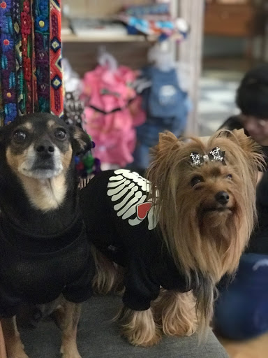 MexiCan pet shop