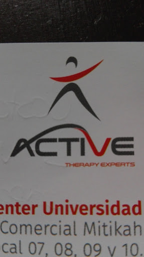 Active Therapy Experts Universidad