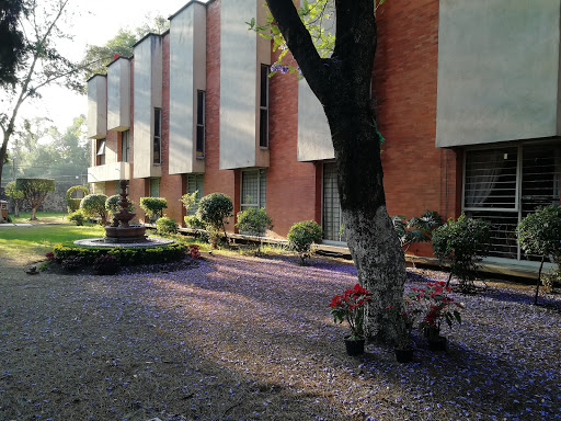 Seminario Teologico Presbiteriano de Mexico AC