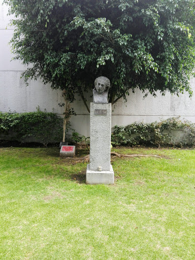 Busto de Albert Einstein