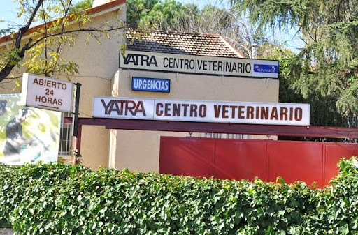Clinica Veterinaria YATRA