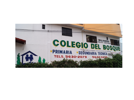 Colegio Del Bosque