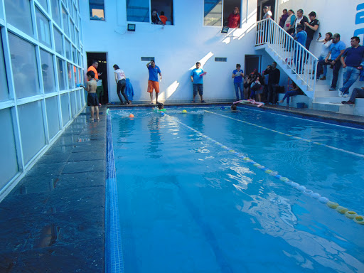 Escuela de Natación Aqua Sur