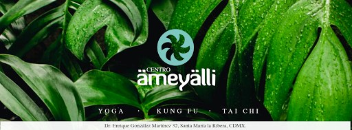 Centro Ameyalli - Yoga, Kung Fu y Tai Chi