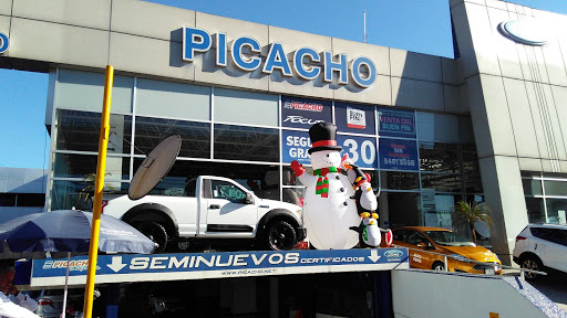 Ford Picacho