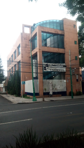 Centro Universitario Coyotl