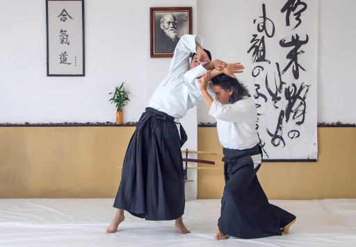 México Aikido Kenjoshinkan