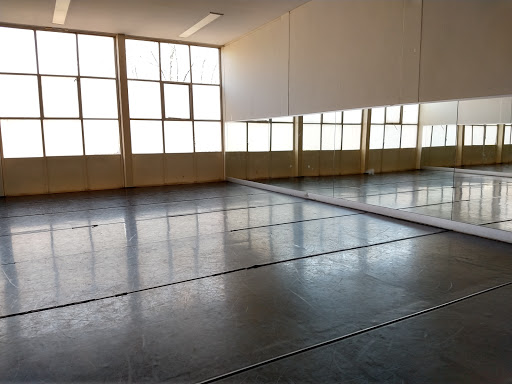 Centro de Producción de Danza Contemporánea (CEPRODAC)