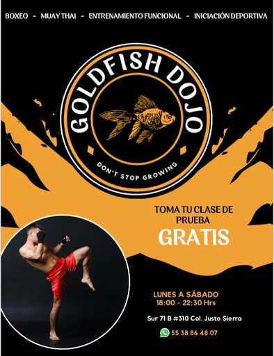 Goldfish - Dojo
