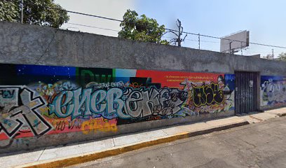 Observatorio Mexicano de Transporte Público