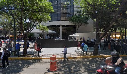 Tribunal Superior de Justicia de la Ciudad de México sede "Arrendamiento"