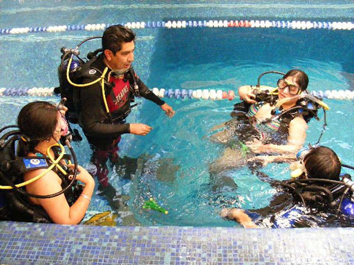 Scuba Sapiens Divers " Dive Center "