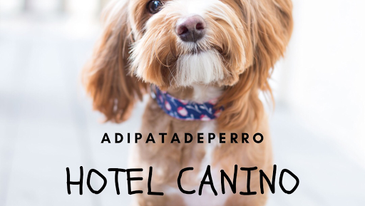 Hotel canino y guarderia Adi Pata De Perro