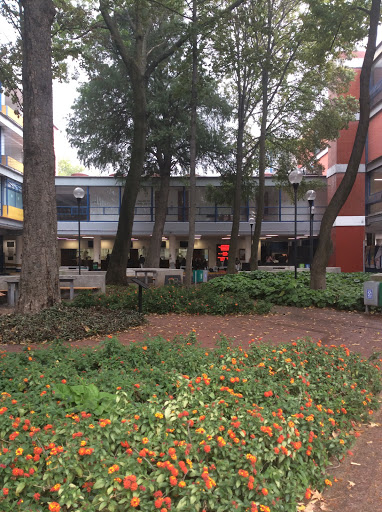 Facultad de Derecho UNAM