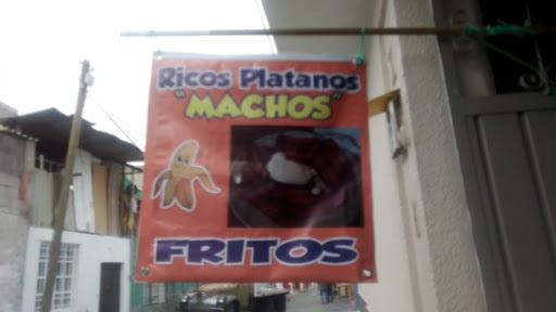 Ricos Plátanos "Machos"