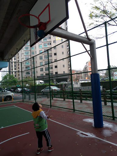 龍安街橋下籃球場