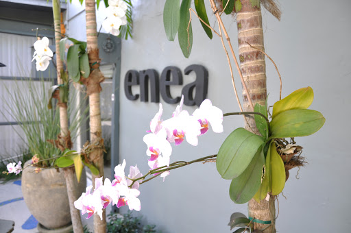Enea Garden Design