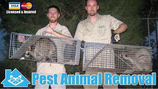 Pest Animal Removal Miami-Dade County
