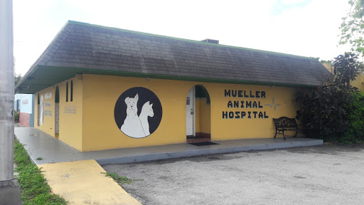 Mueller Animal Hospital