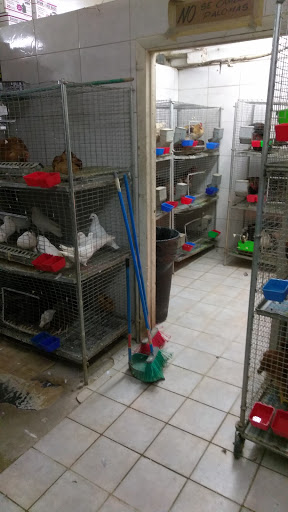 Kenia's Pet Shop