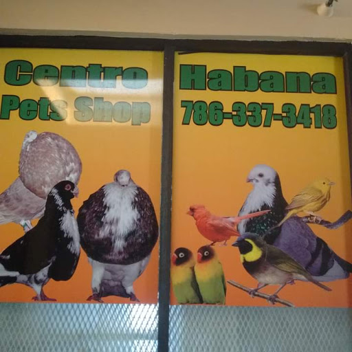 Centro habana pet shop