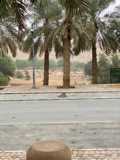 Small wadi and garden area.