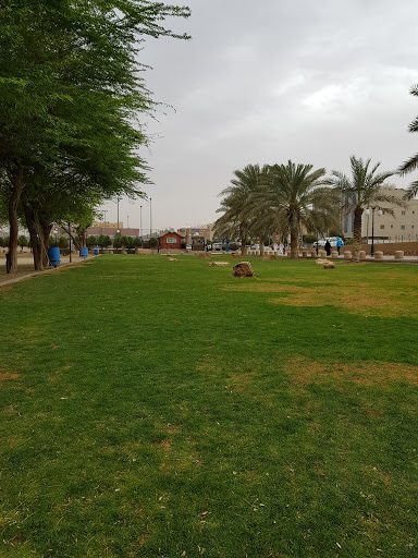 حديقة محمد بن القاسم