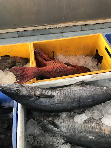 سوق الشمال المركزي للأسماك
